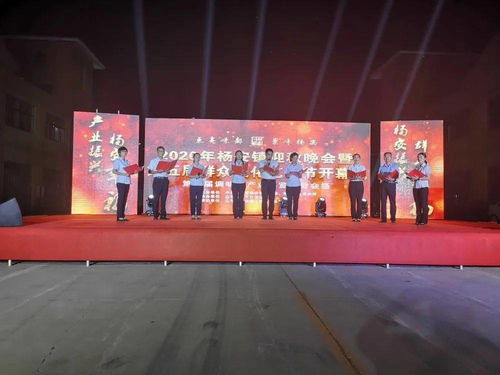 太熱鬧啦！2020楊安鎮(zhèn)迎秋晚會(huì)暨第五屆群眾文化藝術(shù)節(jié)盛大開(kāi)幕