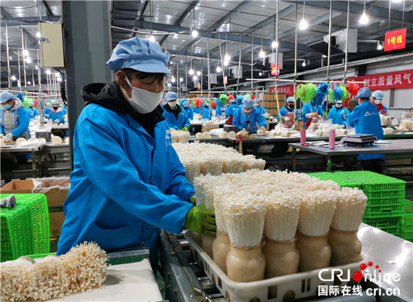楊凌示范區(qū) 特色農(nóng)業(yè)產(chǎn)業(yè)化與生物技術(shù)研發(fā)雙輪驅(qū)動(dòng)